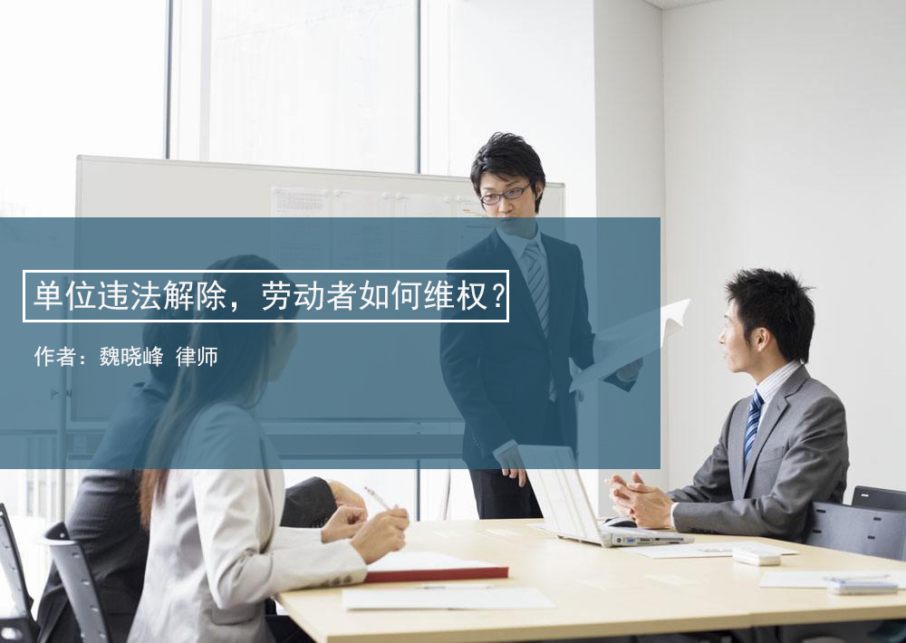 导读.jpg